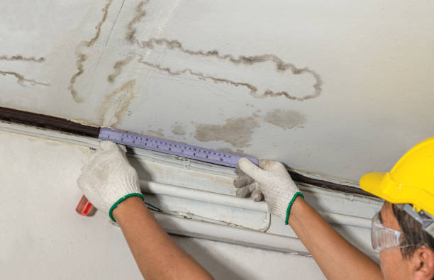 Reliable Mold Remediation contractor in Oakland, MI by Water Damage Irwin